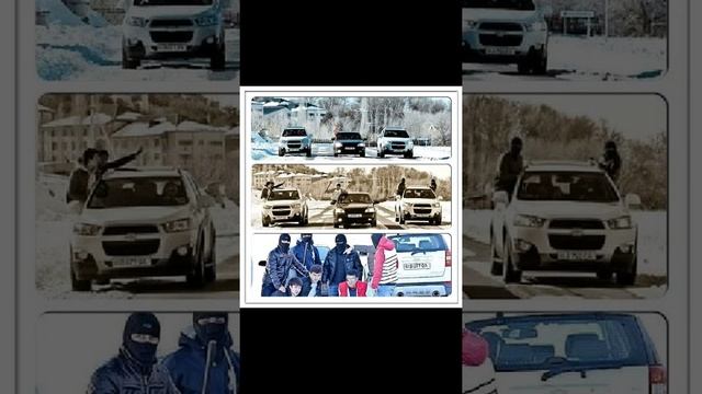 3 ноября 2015 г. смотреть онлайн
