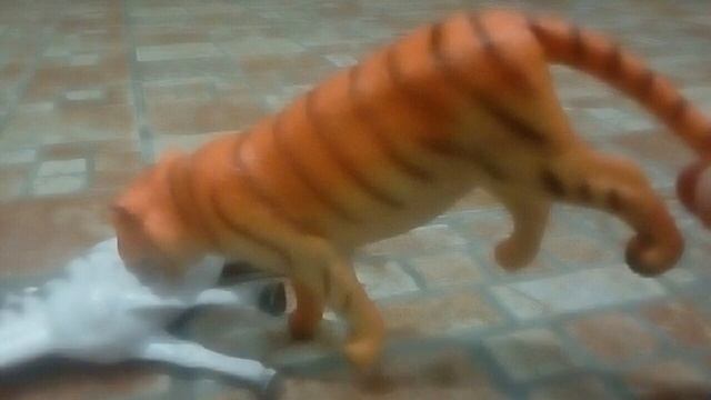 Bengal Tiger (Panthera Tigris Tigris) Vs African Lion (Panthera Leo) смотреть онлайн