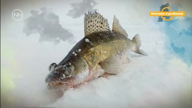 Заставка Охотник и рыболов (2015?-2017) смотреть онлайн