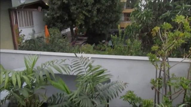 Viento Raco en Las Condes, Santiago 25 de Mayo 2019 смотреть онлайн