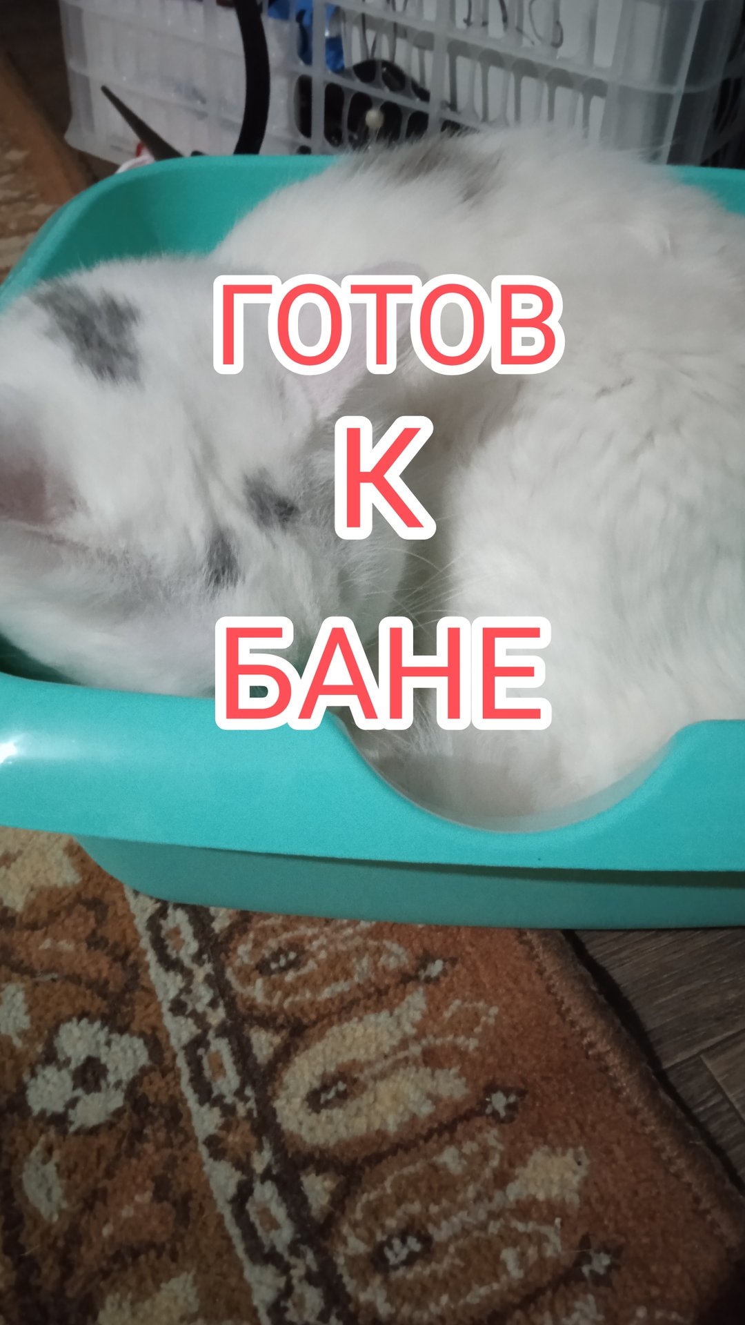 Решил помыться приготовил ванну и уснул смотреть онлайн