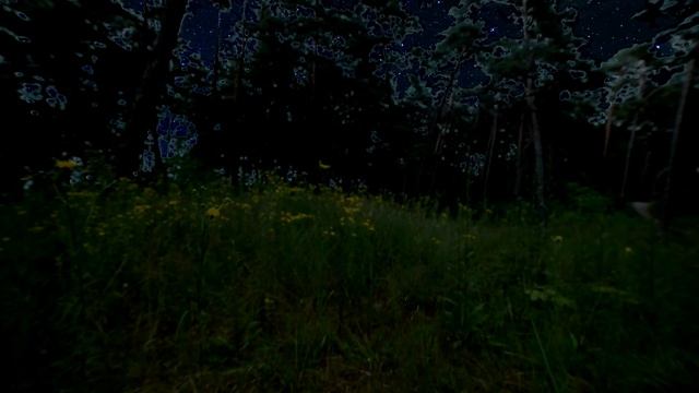 Blissful Retreat: Unwind With The Pure And Calming Sounds Of Nature