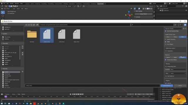 Character rigging types pt5 - MHX2 import options into blender 2.8 and features (english) смотреть онлайн