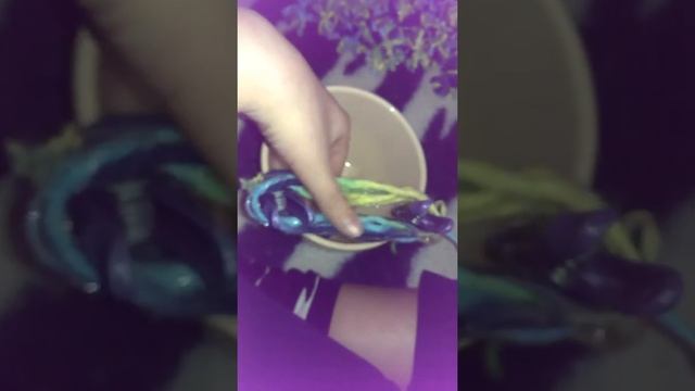 DIY.Делаем веселые помпоны.Очень легко, быстро и весело😉.Handmade Bomber 1(one)!!!😊