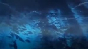 more Футаж моря  морской футаж