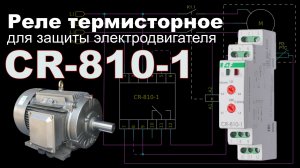 Реле CR-810-1 термисторное для защиты электродвигателей от перегрева.