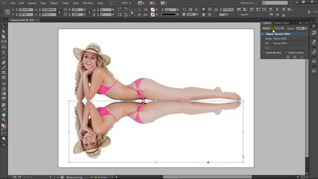 Malayalam InDesign Tutorial Mirror Image Creating смотреть онлайн
