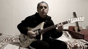 «The Turtles» - «You Showed Me» (guitar cover)