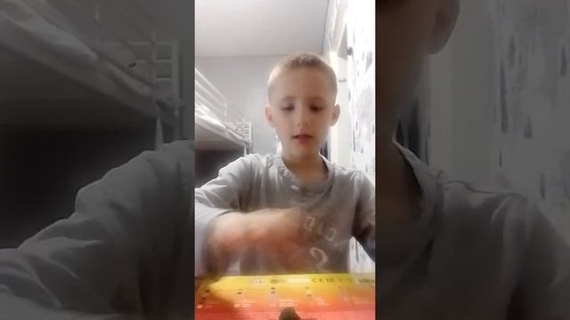 как слепить беллу (часть 1) смотреть онлайн