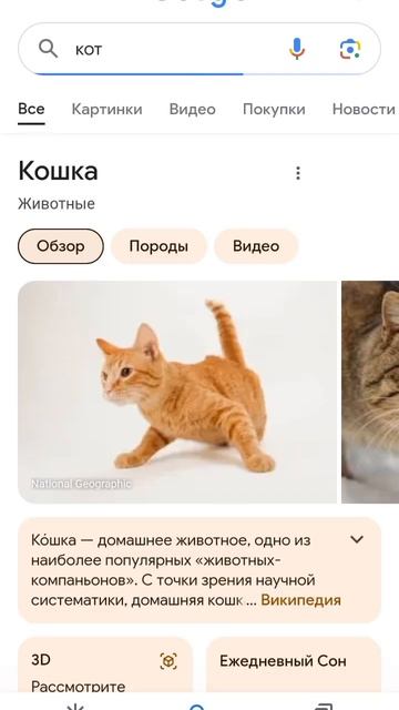 Проверил #shorts #говрек #вреки #коты #пасхалка #лапки #shorts смотреть онлайн
