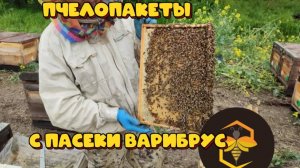 НЕ ПОКУПАЙ ПЧЕЛОПАКЕТЫ ПОКА НЕ ПОСМОТРИШЬ ЭТО ВИДЕО