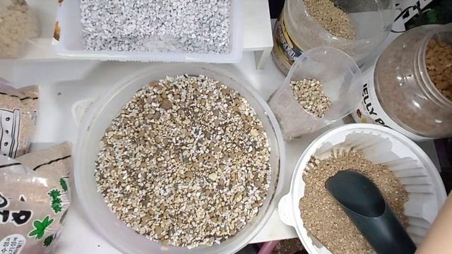 다육이 배양토soil mix , 다부댁의 배양토 배합 흙, 돌, 방법 이야기 korean succulent plants #다육이를부탁해 смотреть онлайн