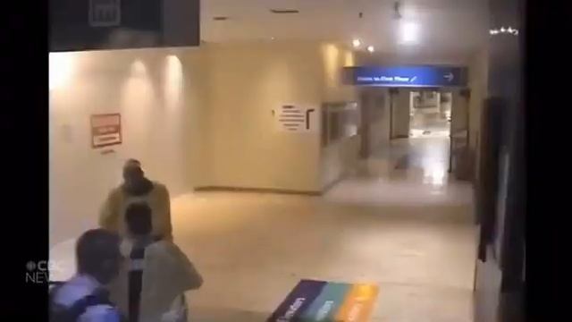 Stephanie Warriner Video (GRAPHIC WARNING) смотреть онлайн