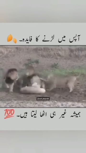 Respect ❤️ 💯 || Reality #real #trending #youtubeshorts #youtube #viralvideo #foryou #explore #duet смотреть онлайн