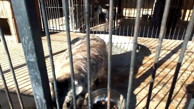 МАТРЁНА само спокойствие смотреть онлайн