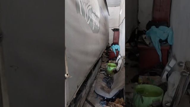 Газон некст свап Алматы смотреть онлайн