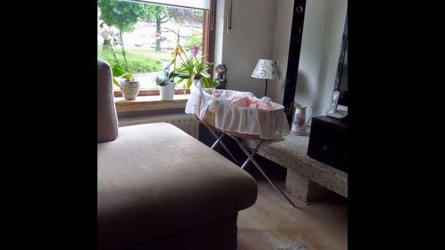 Мое слайд-шоу