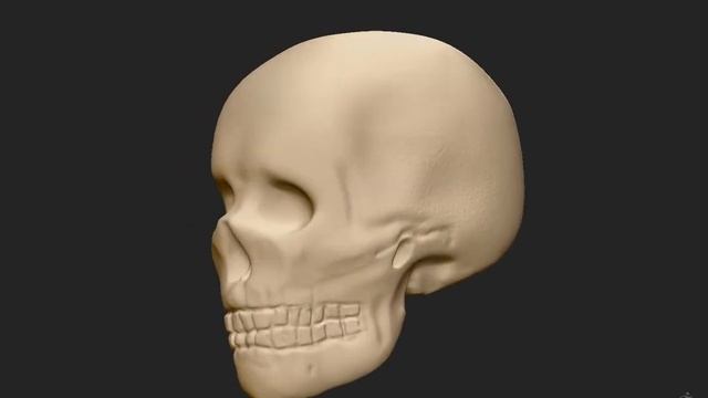 ZBrush skull смотреть онлайн