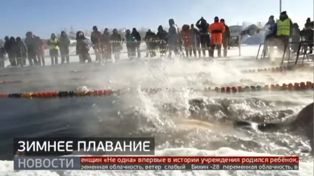В Хабаровском крае прошли соревнования по зимнему плаванию. 23/01/2023. GuberniaTV