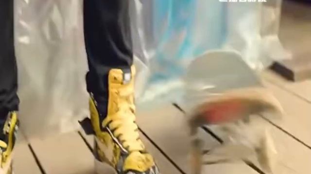 Buod ng Pelikula – Foxter and Max смотреть онлайн