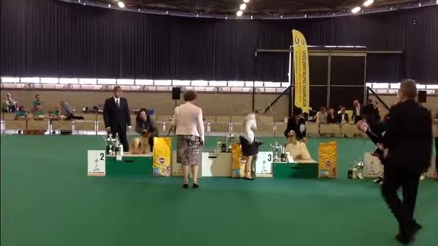 Final BISS Rotterdam смотреть онлайн