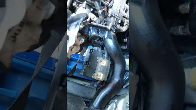 Sensor marcha atras Alfa 147 смотреть онлайн