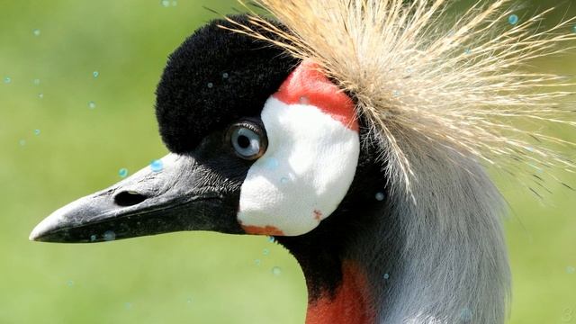 Тихий звук натянутой струны - Христианские песни - 467 смотреть онлайн