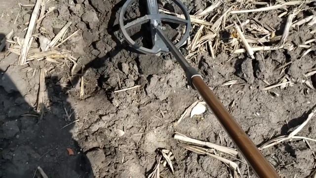 Terra Firma Detecting with XP Len Quelland Lots of Silver in the field!!! смотреть онлайн