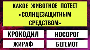 Вы умнее большинства? Попробуйте пройти этот тест на эрудицию! 🧠✨