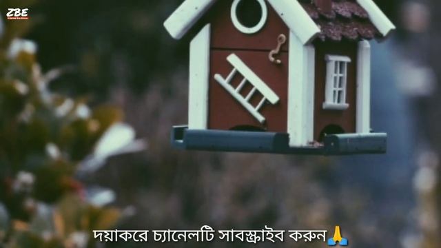 স্বপ্নে ঘর বাড়ি পরিষ্কার করতে দেখলে কি হয় | shopne ghor bari porishkar korte dekhle ki hoy | drea смотреть онлайн