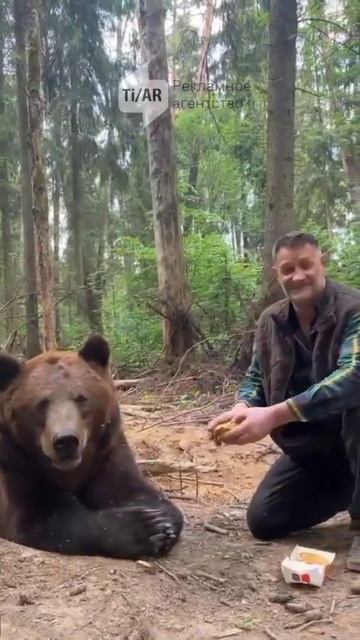 #shorts Невкусно и точка. Даже мишка отказался есть их кривые и сухие бургеры. смотреть онлайн