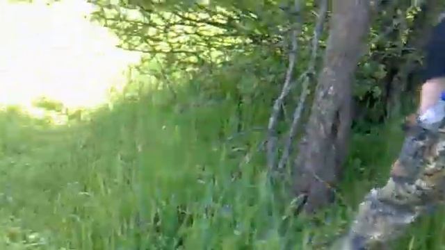 Нива  и ручеёк 2