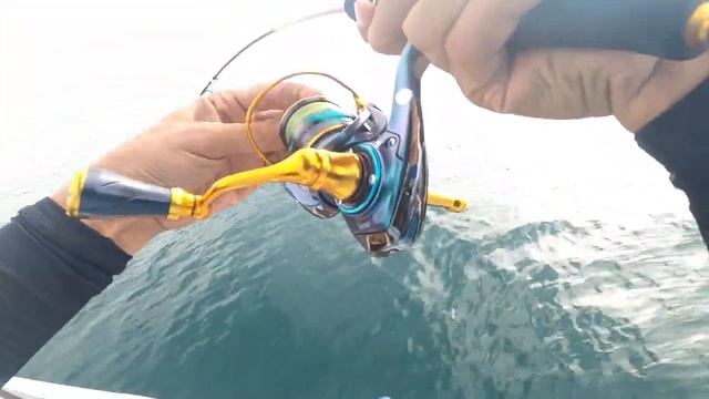 Reel mini 800 baru langsung Amis GT || bullzen ft. capung 3LB ||Extreme Ultra light Jigging смотреть онлайн