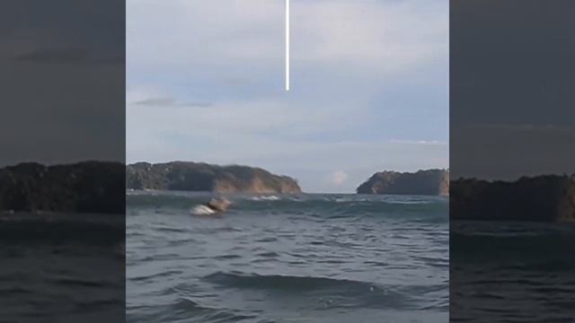 Surf Samara Beach смотреть онлайн