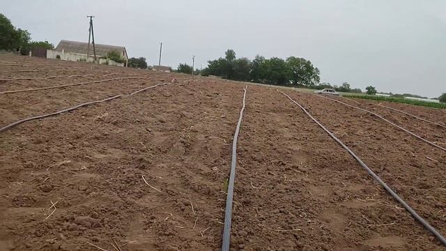 Влог Как Проходит Мой День Левый Берег Херсонщины смотреть онлайн