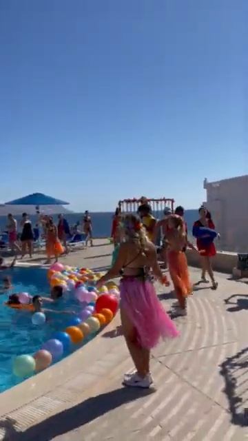 Albatros Palace Sharm 01.2022 смотреть онлайн