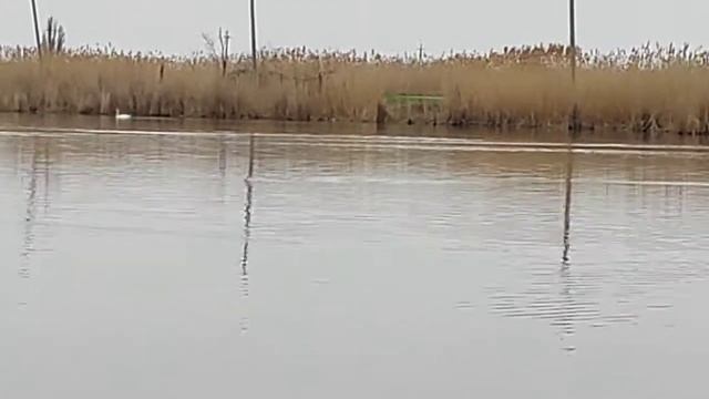 музыка для души смотреть онлайн