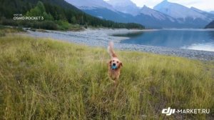 Первично руководство DJI Osmo Pocket 3