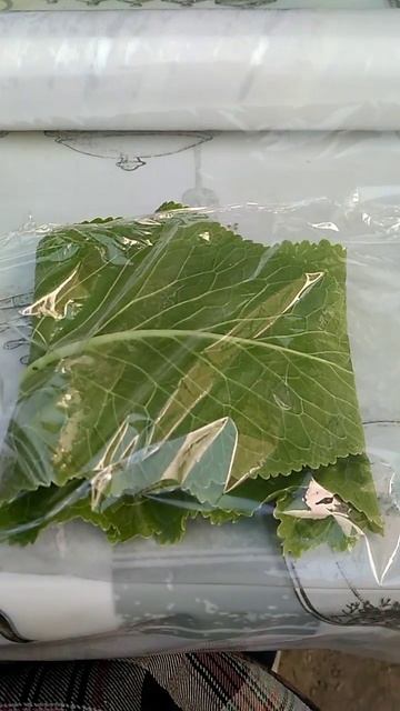 Райские цветы