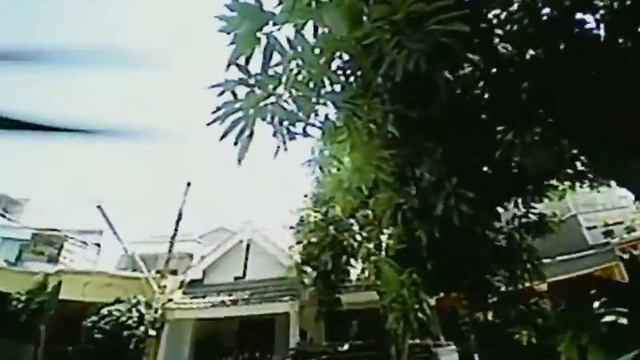 Mjx Bugs 3 mini смотреть онлайн