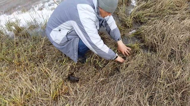 Северные реки. смотреть онлайн
