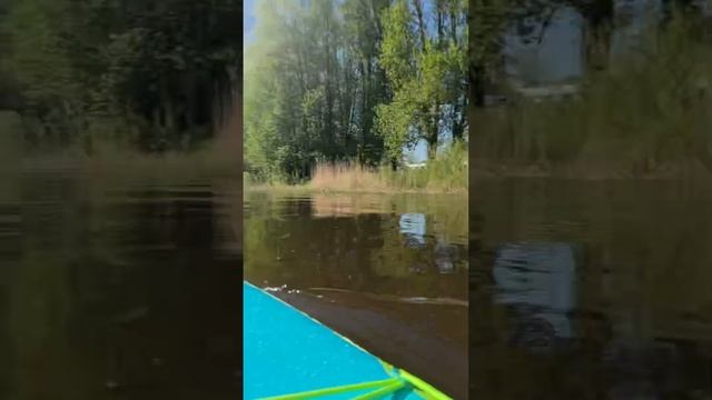 "Заплыв" на детской САП-доске 8.6 футов смотреть онлайн