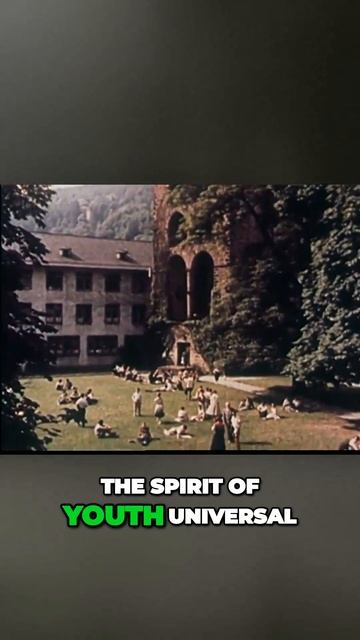 The Enchanting Rhine Valley A Journey Through Castles, Legends, and the Pursuit of Knowledge #fact смотреть онлайн