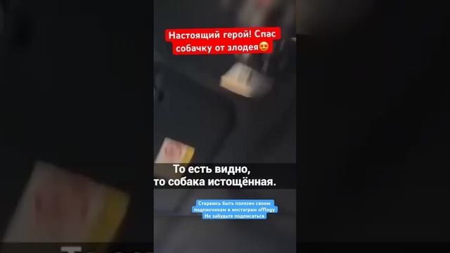 Спас собачку от плохого хозяина! смотреть онлайн