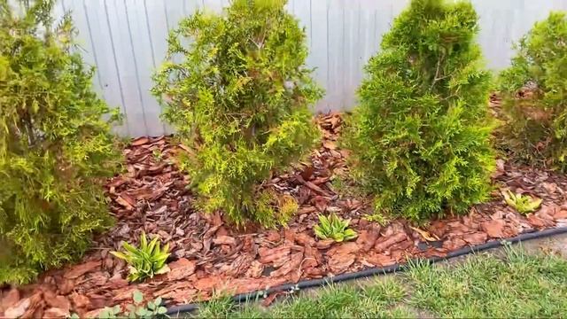 ТАКОЙ ДВОР ВЫ ЕЩЁ НЕ ВИДЕЛИ! Красивое и бюджетное решение! смотреть онлайн