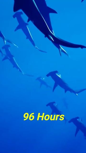 MISSING TITANIC SUBMARINE : The END? *Explained* #shorts