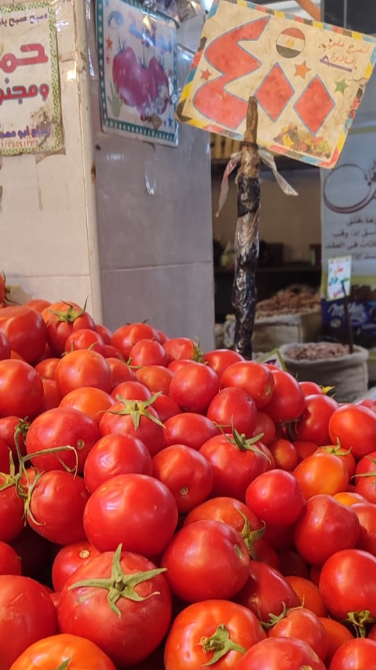 Сравниваем цены на томаты в России, Египте и Тайланде. смотреть онлайн