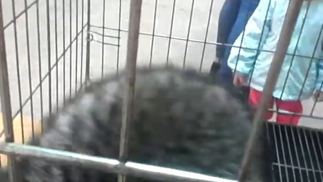 Живи или умри смотреть онлайн