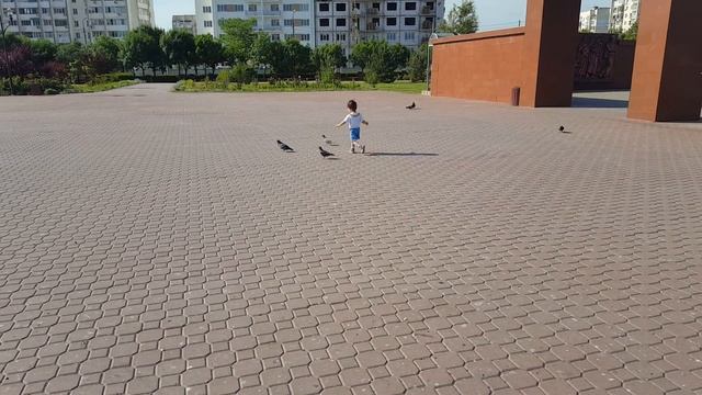 Красная горка голуби смотреть онлайн