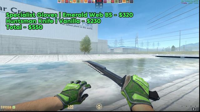 The Best KNIFE & GLOVE COMBOS For ANY BUDGET in CS2 (2024!) смотреть онлайн